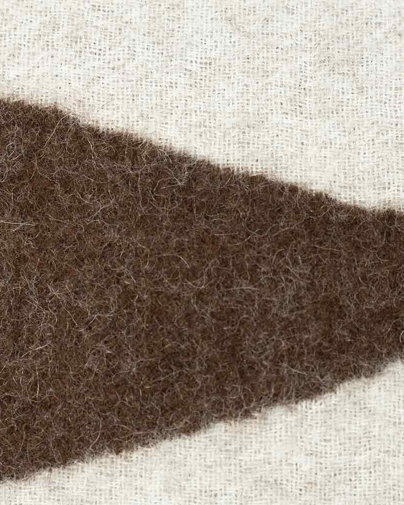 Berlin Throw Pillow in Ivory & Coffee