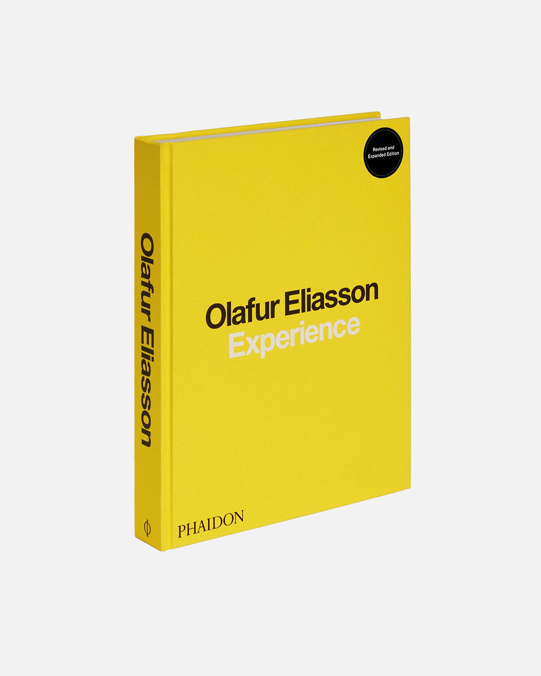Experience by Olafur Eliasson