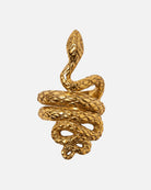 Serpentis Napkin Rings