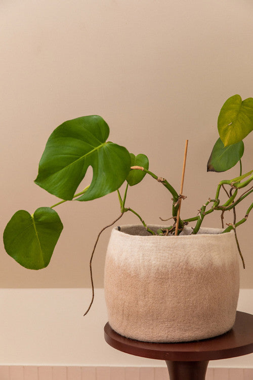 Two Tone Calabash Nude Basket - Medium